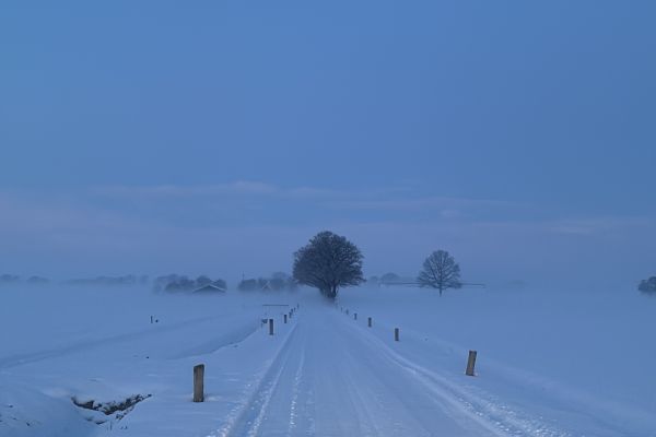 Ochtenddauw richting Moergestel | januari ‘26
