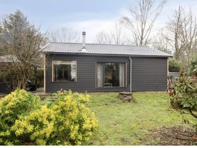 Stille Wille 82