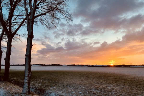 Ochtendgloren Bosuillaan | december ‘25