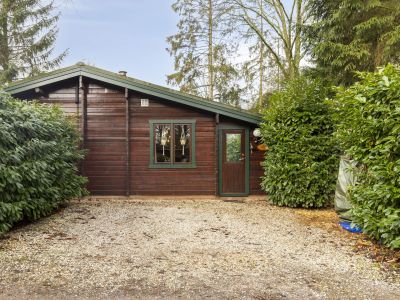 Stille Wille 237