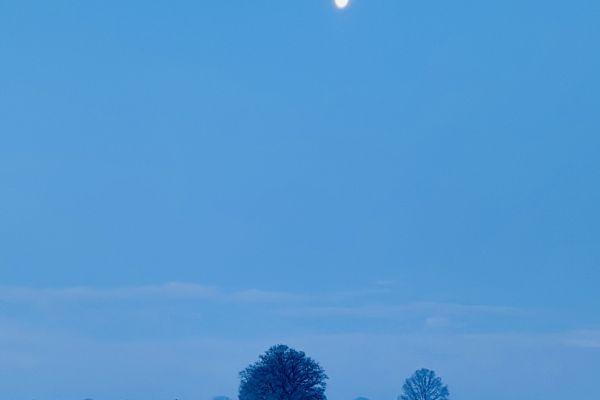 Ochtenddauw richting Moergestel | januari ‘26