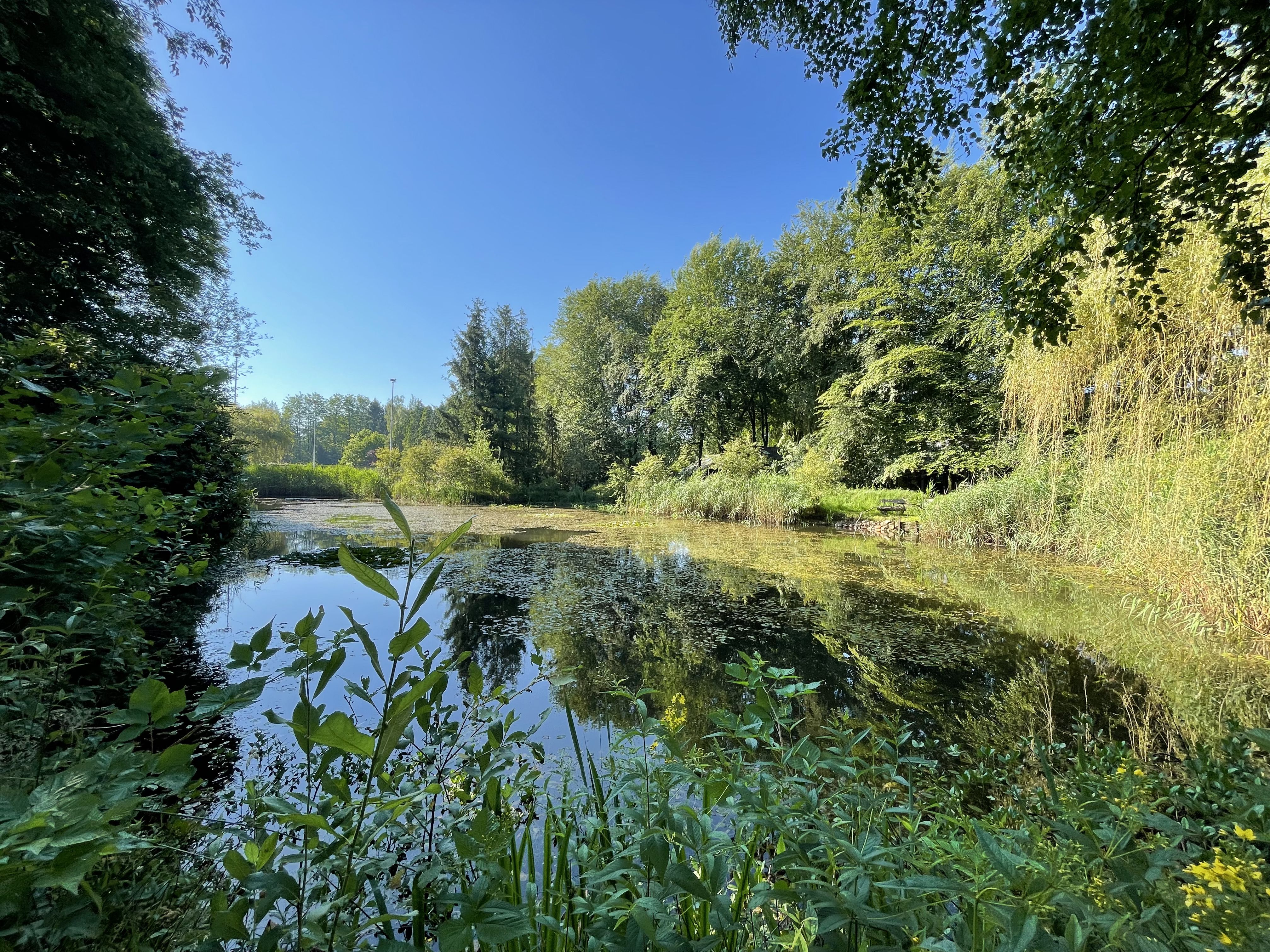 Doorkijk Recreatiegebied