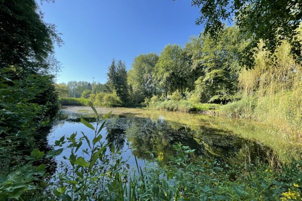 Doorkijk Recreatiegebied